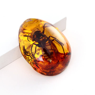 Olivenorma Water Drop Amber Insect Specimen Pendant