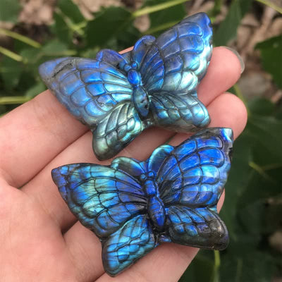 Magic Butterfly Labradorite Gemstone Decoration