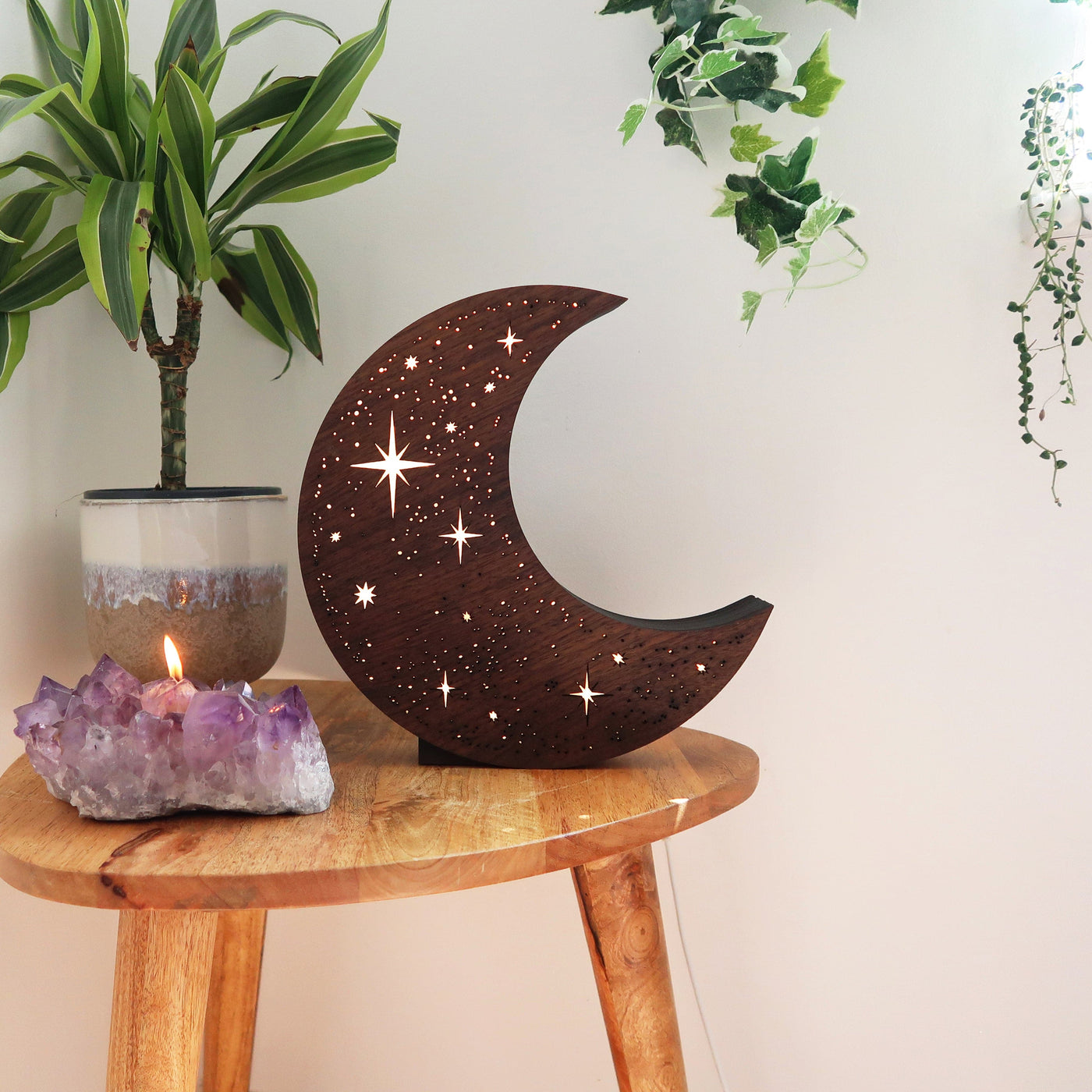 Olivenorma Starry Botanical Moon Lamp