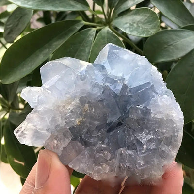 Olivenorma Irregular Natural Celestine Crystal Cluster Natural Stone