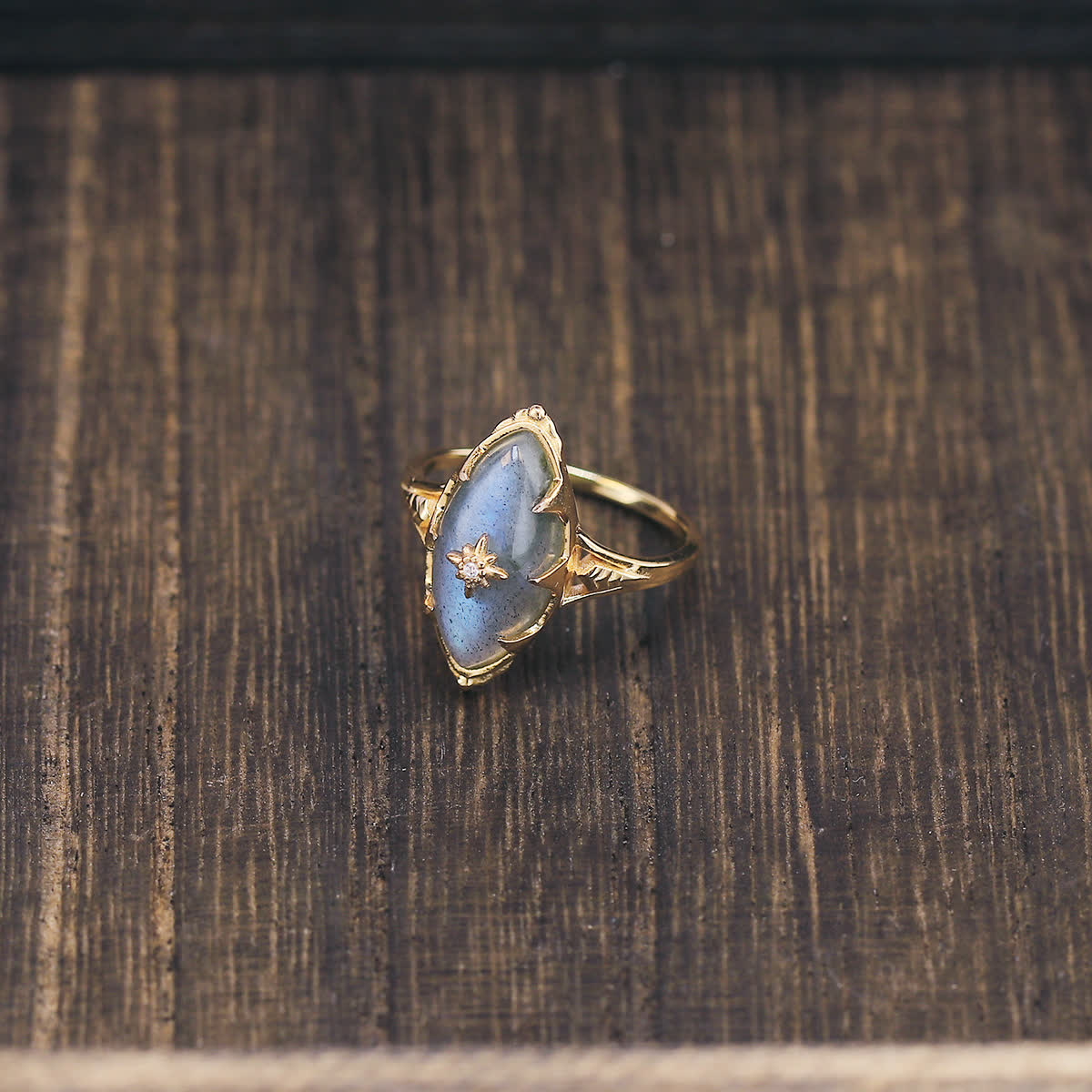 Olivenorma Natural Labradorite Star Print Ring