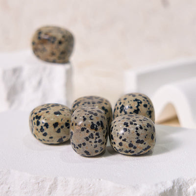 Olivenorma Natural Dalmatian Jasper Tumbled Healing Stone