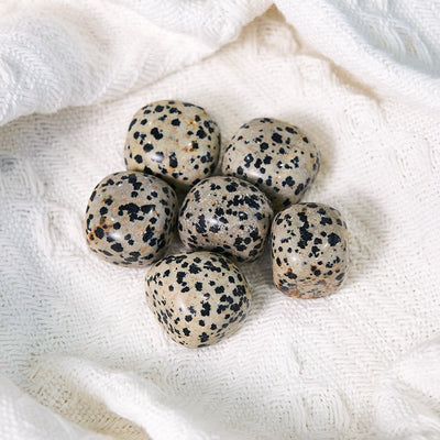 Olivenorma Natural Dalmatian Jasper Tumbled Healing Stone