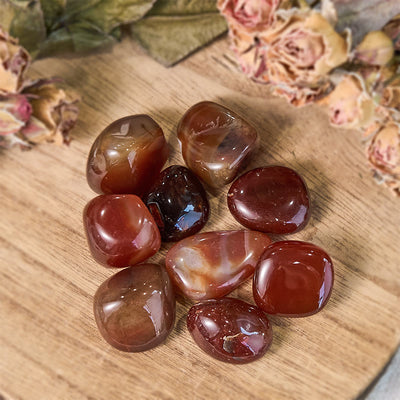 Olivenorma Polished Red Agate Bulk Tumbled Stone