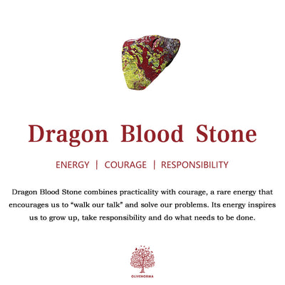 Olivenorma Natural Dragon Blood Stone Tumbled Polished Stone