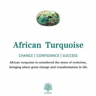 Olivenorma Crystal Gravel Glue Little Turtle Gemstone Decoration - image 74