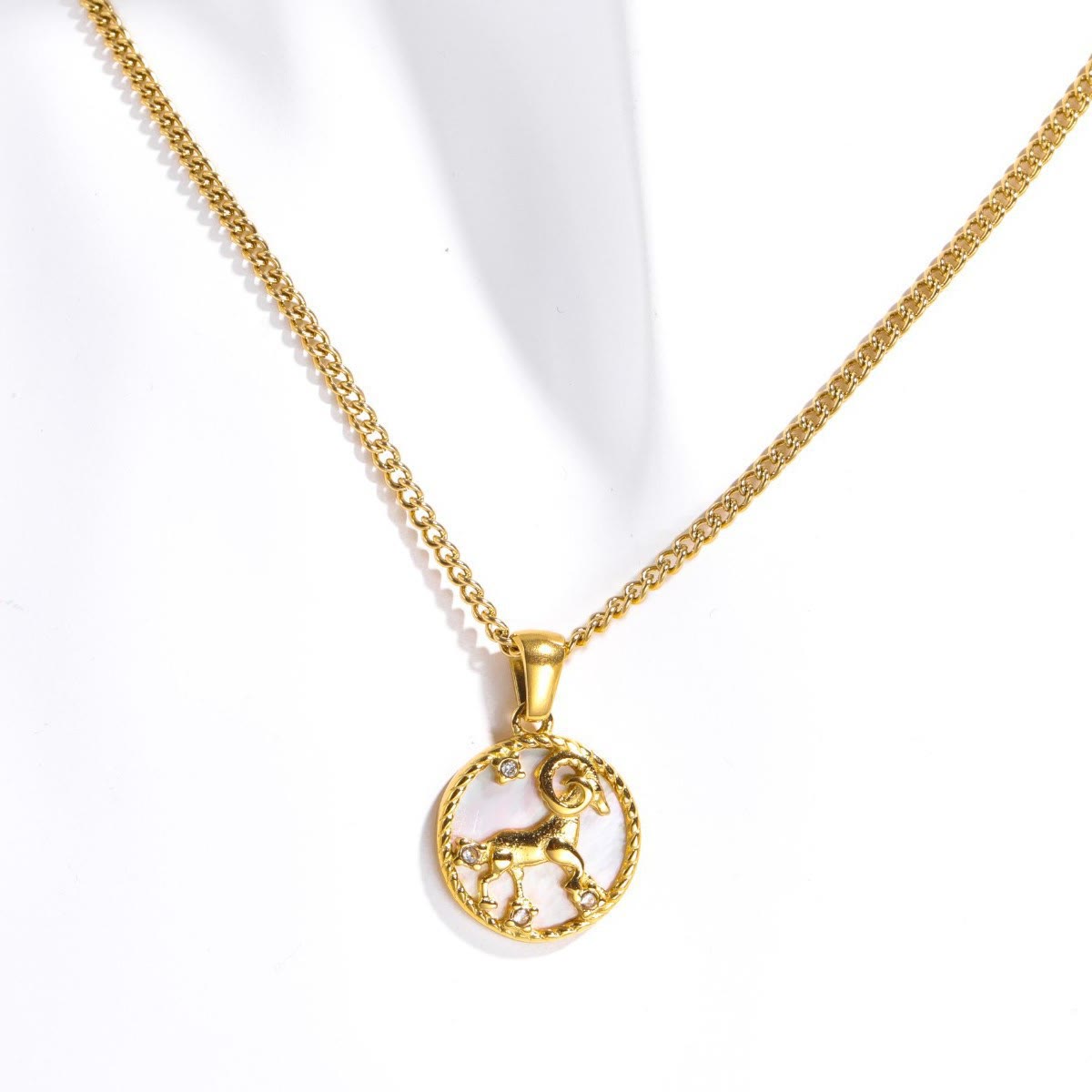 Olivenorma 12 Constellations Titanium Steel Shell Coin Necklace