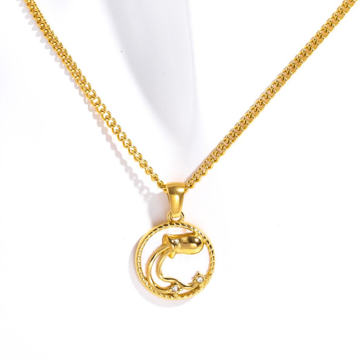 Olivenorma 12 Constellations Titanium Steel Shell Coin Necklace