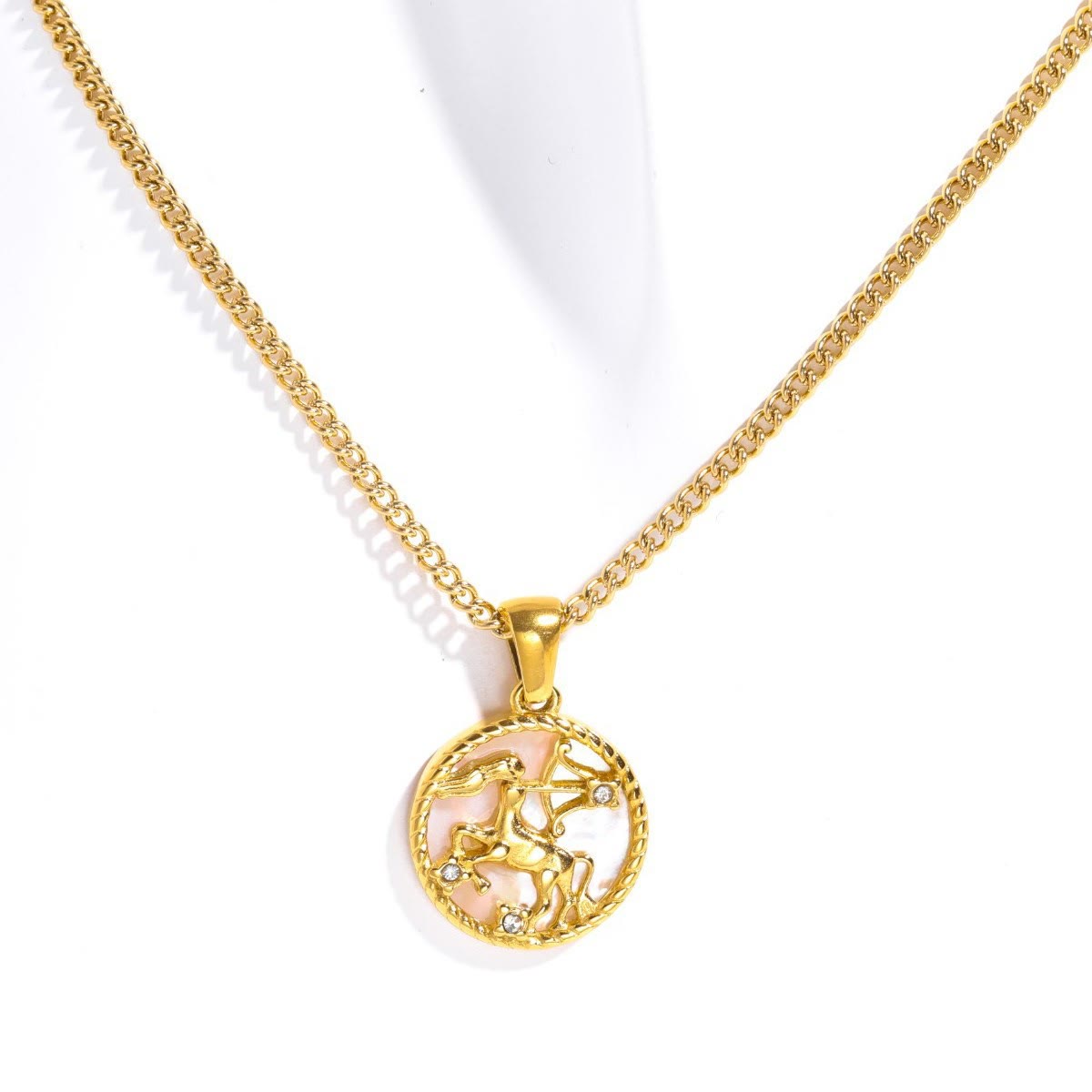 Olivenorma 12 Constellations Titanium Steel Shell Coin Necklace