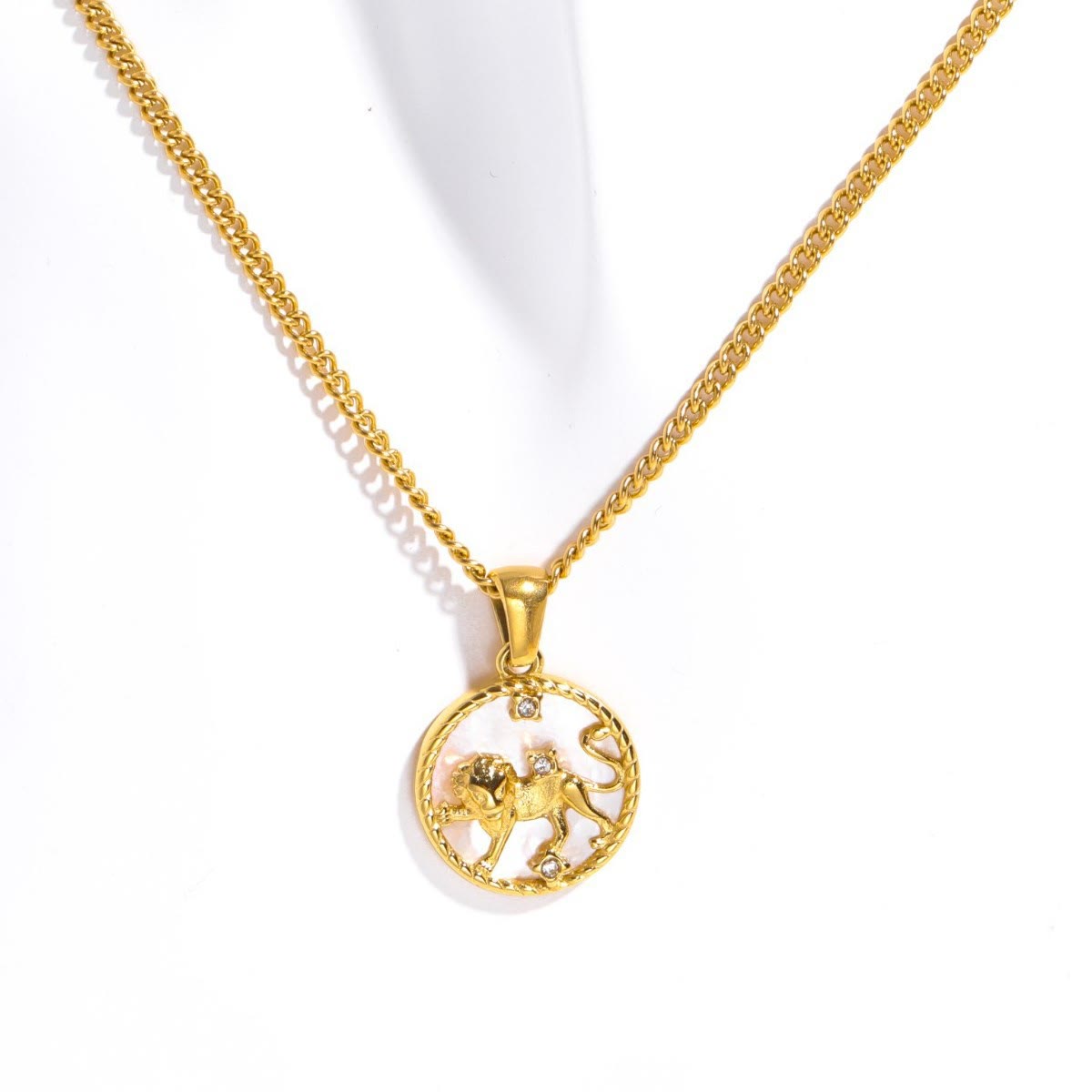 Olivenorma 12 Constellations Titanium Steel Shell Coin Necklace