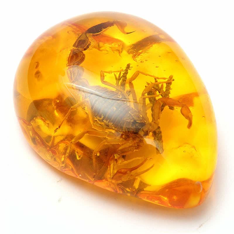 Insect Stone Scorpions Inclusion Amber Baltic Pendant