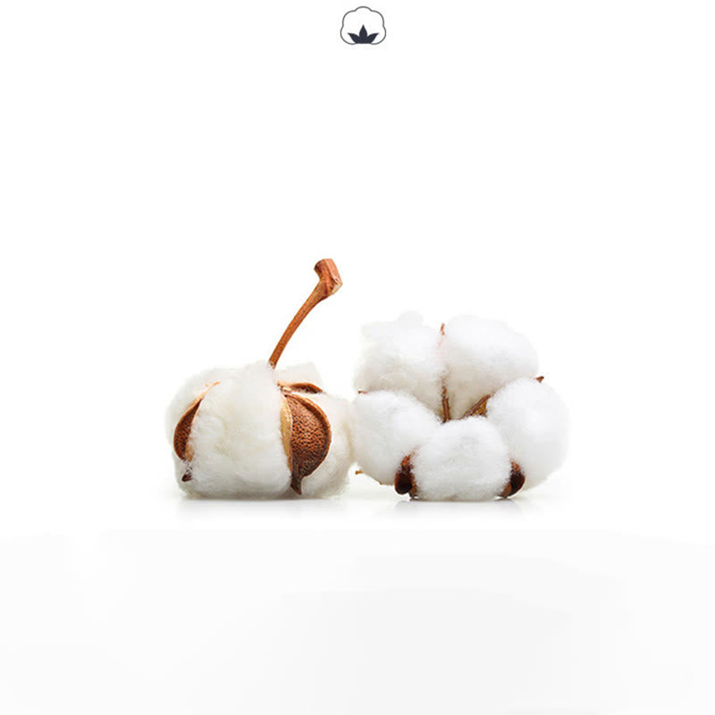 Olivenorma Colorful Anklet Toeless Pilates Socks for Women Non-Slip Yoga Socks - image 25