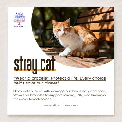 Olivenorma Stray Cat Protection Bracelet with Card - image 1