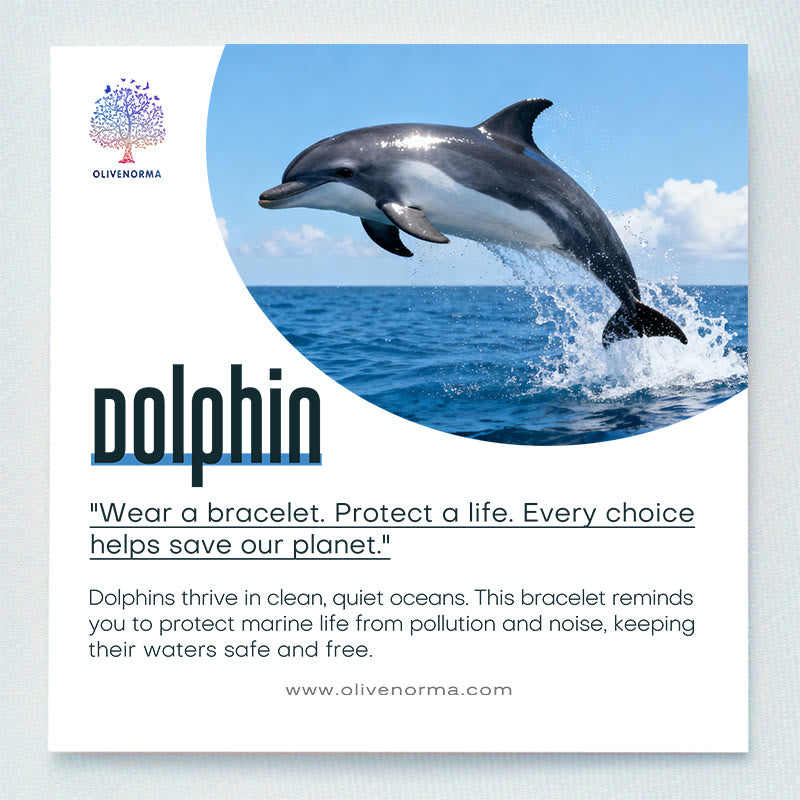 Olivenorma Dolphin Care & Awareness Bracelet with Card - image 1