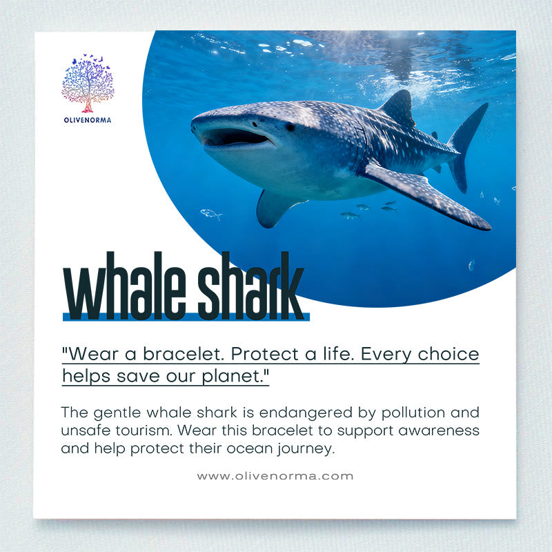 Olivenorma Whale Shark Preservation Bracelet with Card - image 1