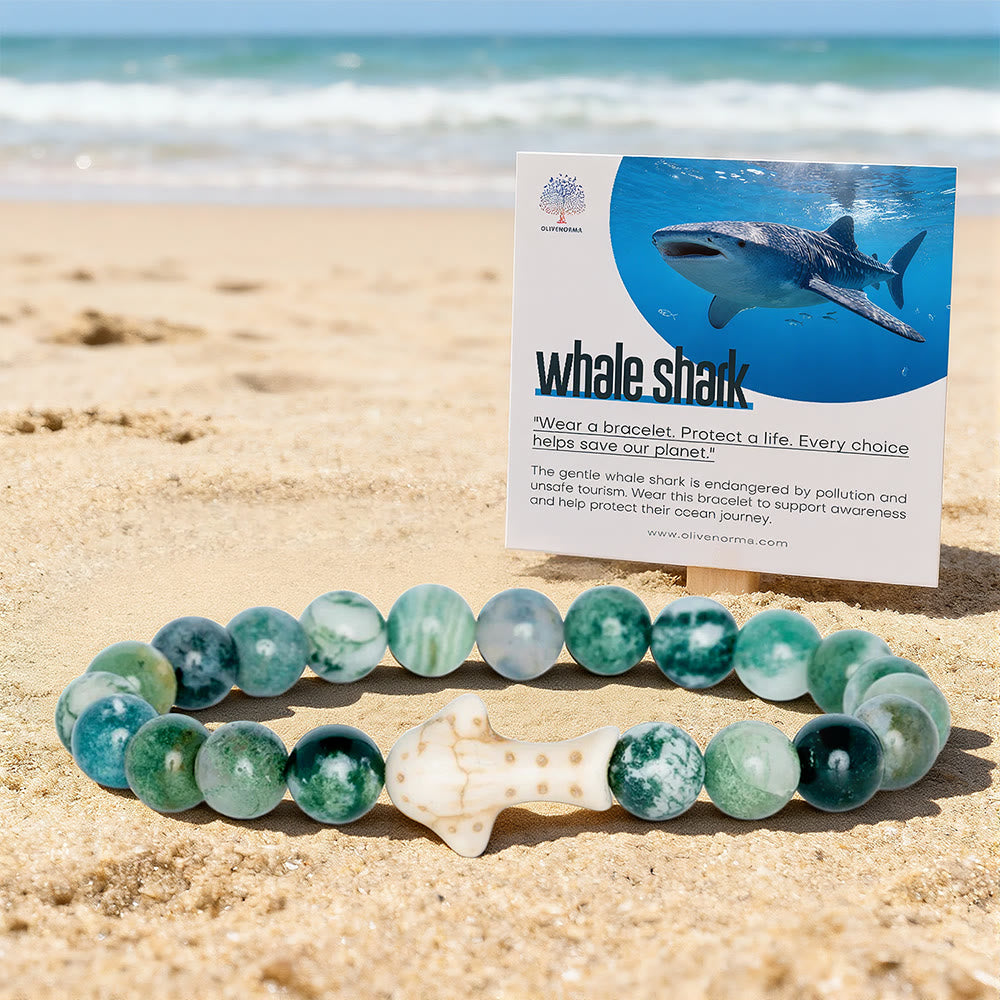 Olivenorma Whale Shark Preservation Bracelet with Card - image 0