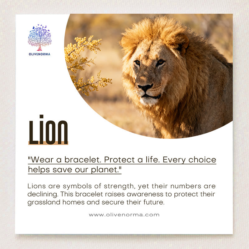 Olivenorma Lion Survival Awareness Bracelet with Card - image 1