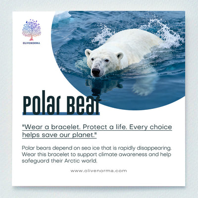 Olivenorma Polar Bear Climate-Action Bracelet with Card - image 1