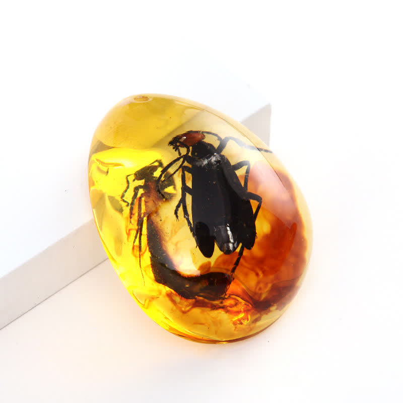 Olivenorma Water Drop Amber Insect Specimen Pendant