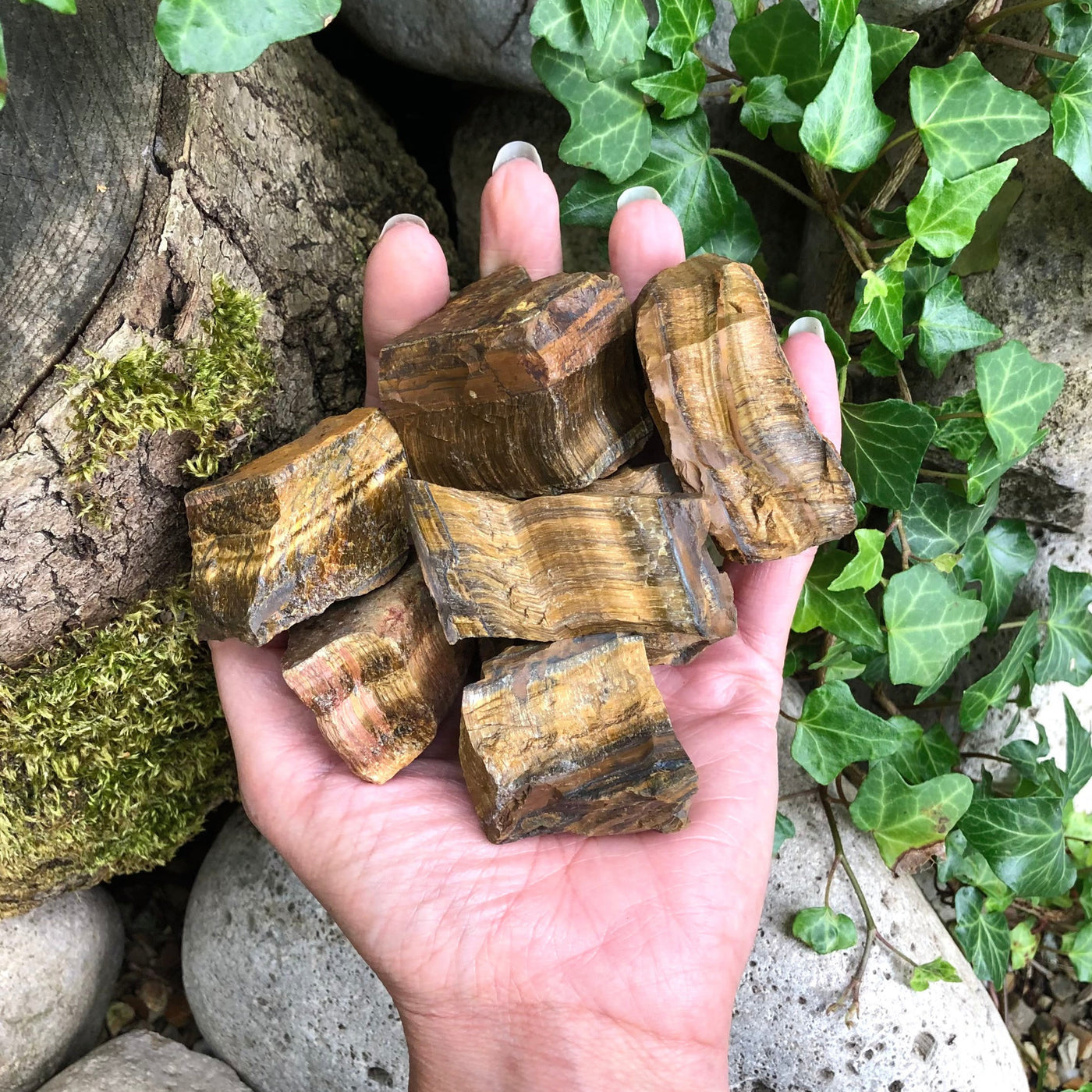 Olivenorma Large Raw Tigers Eye Crystal Natural Stone