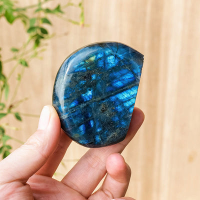 Olivenorma Natural Labradorite Rough Stone Gemstone Decoration