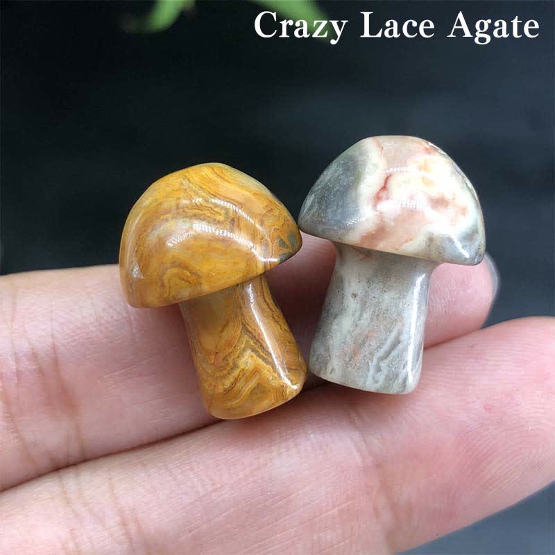 Olivenorma Natural Crystal Mini Mushroom Decoration  - Crazy Lace Agate - image 27