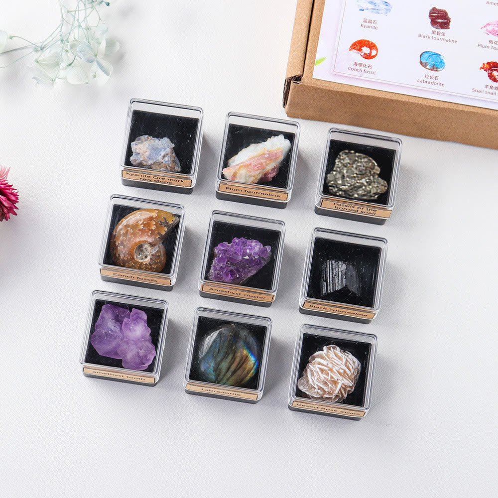 Olivenorma 9pcs Set Natural Crystal Set Gift Box