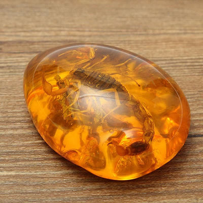 Insect Stone Scorpions Inclusion Amber Baltic Pendant