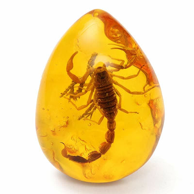 Insect Stone Scorpions Inclusion Amber Baltic Pendant