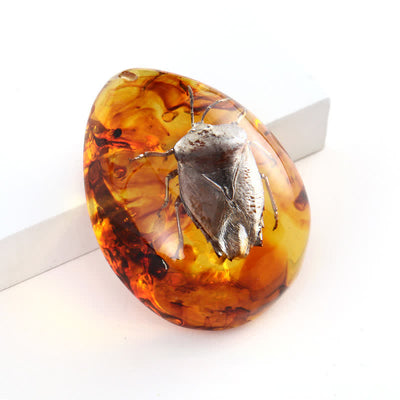 Olivenorma Water Drop Amber Insect Specimen Pendant