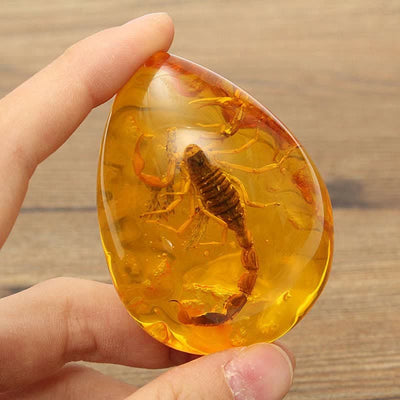 Insect Stone Scorpions Inclusion Amber Baltic Pendant