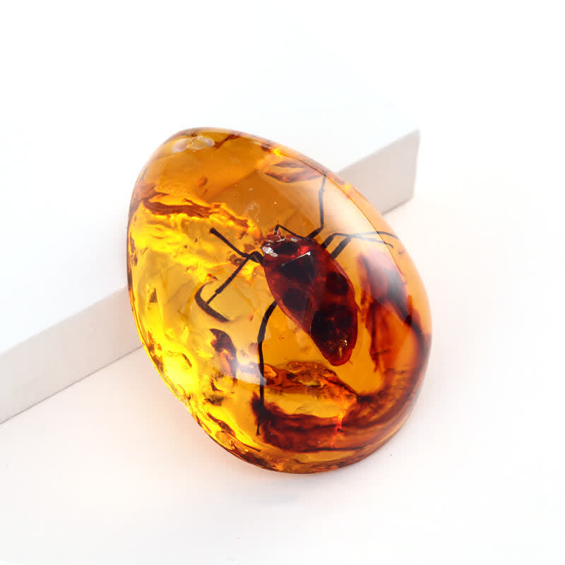 Olivenorma Water Drop Amber Insect Specimen Pendant