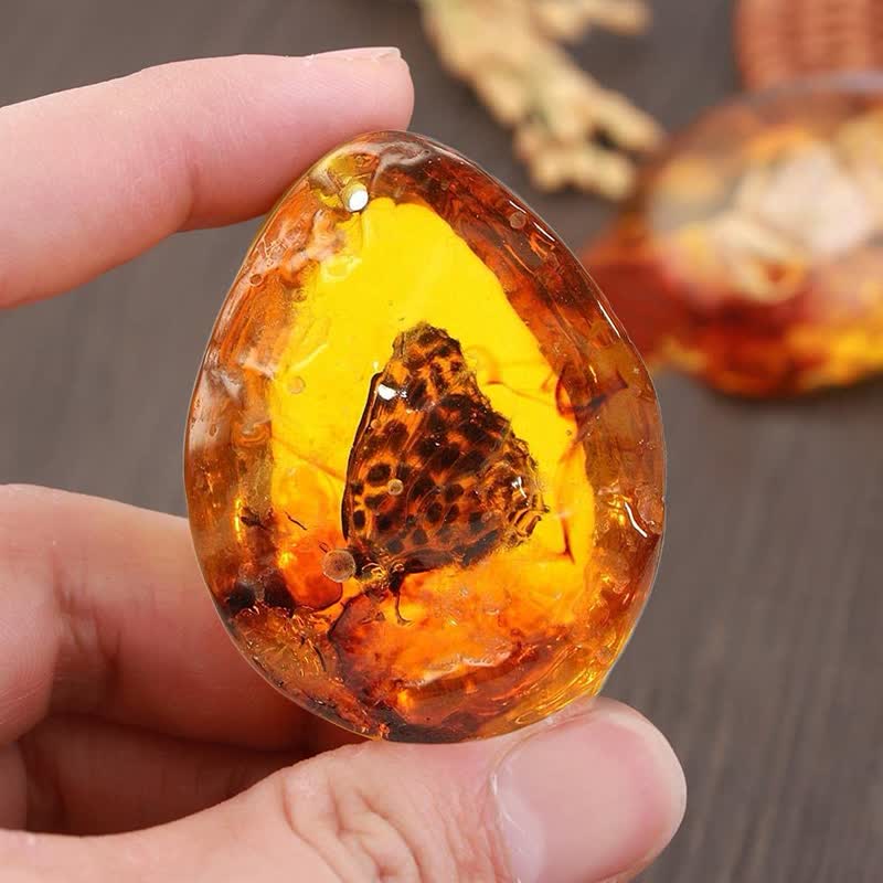 Olivenorma Water Drop Amber Insect Specimen Pendant