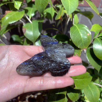 Olivenorma Natural Labradorite Butterfly Skull Gemstone Decoration