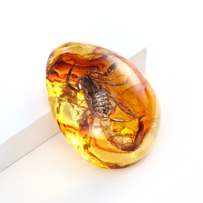 Olivenorma Water Drop Amber Insect Specimen Pendant