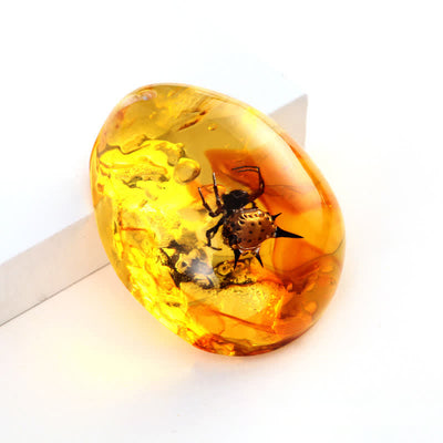 Olivenorma Water Drop Amber Insect Specimen Pendant