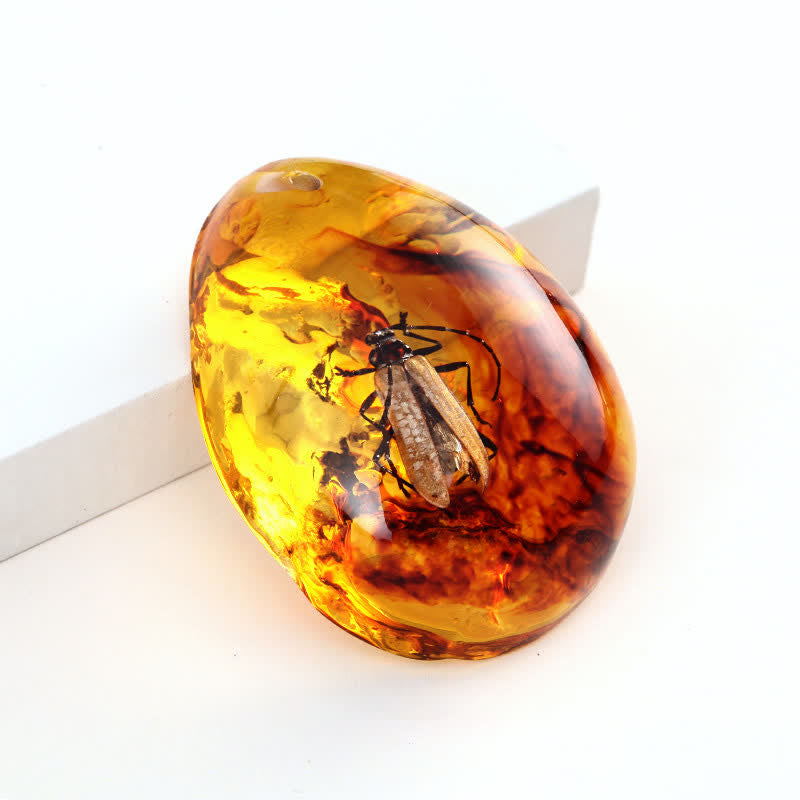 Olivenorma Water Drop Amber Insect Specimen Pendant