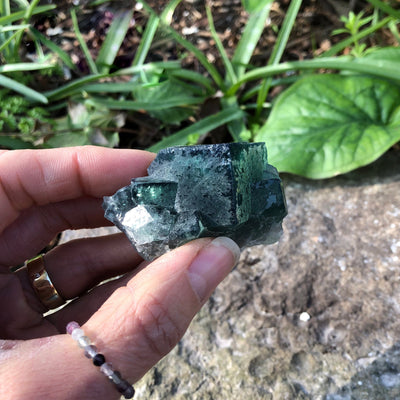 Olivenorma Large Raw Fluorite Crystal Natural Stone