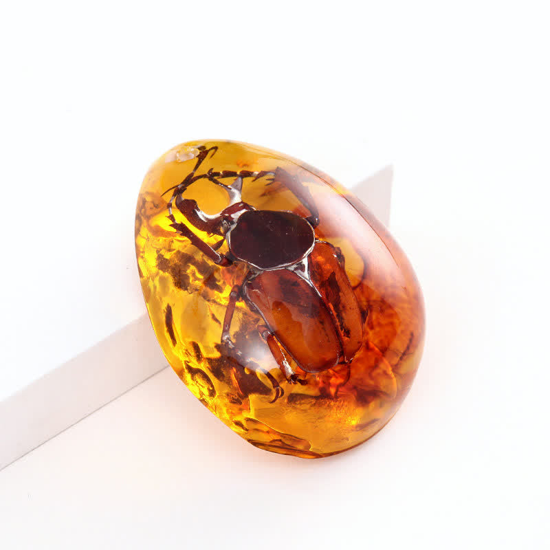 Olivenorma Water Drop Amber Insect Specimen Pendant