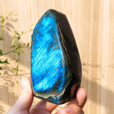 Olivenorma Natural Labradorite Rough Stone Gemstone Decoration