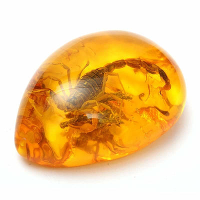 Insect Stone Scorpions Inclusion Amber Baltic Pendant