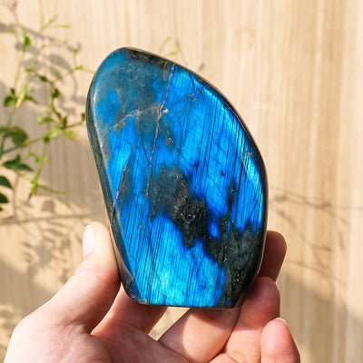 Olivenorma Natural Labradorite Rough Stone Gemstone Decoration