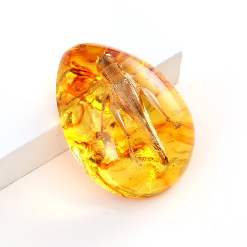 Olivenorma Water Drop Amber Insect Specimen Pendant