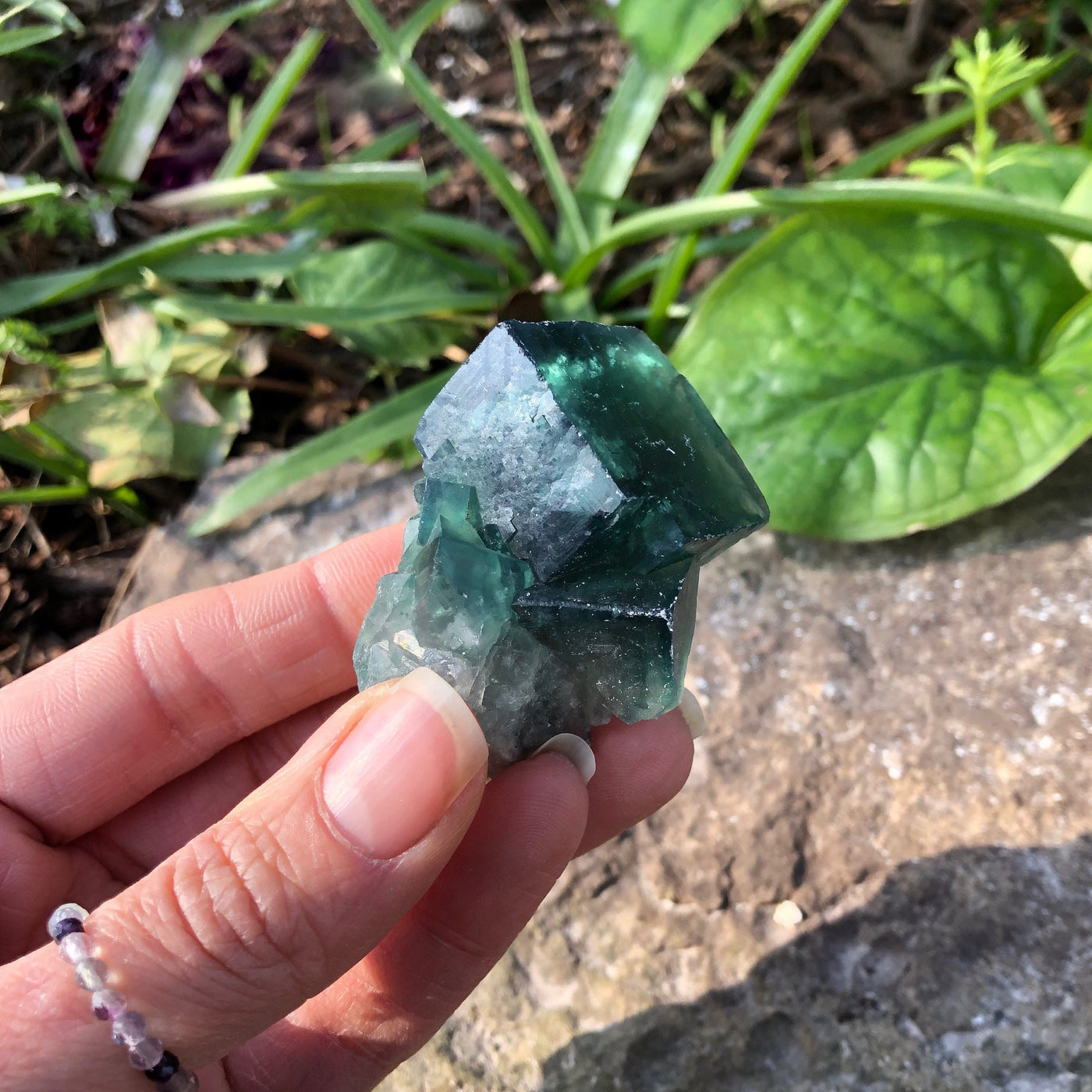 Olivenorma Large Raw Fluorite Crystal Natural Stone