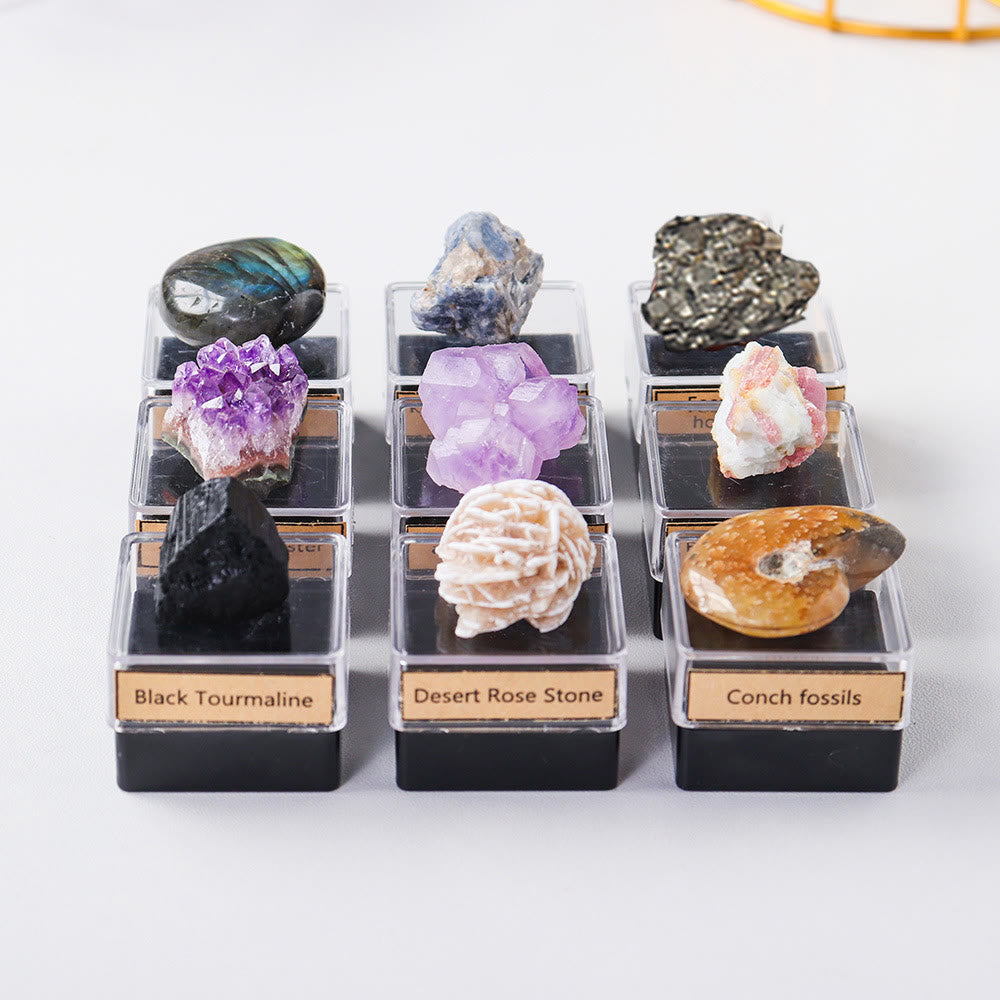 Olivenorma 9pcs Set Natural Crystal Set Gift Box